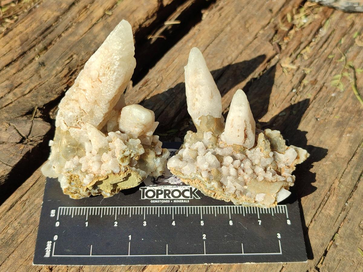 Natural Drusy Quartz Coated "Cock Spur" Calcite Crystals x 12 From Albert's Mountain, Lesotho