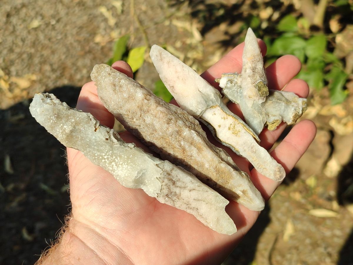 Natural Drusy Quartz Coated "Cock Spur" Calcite Crystals x 12 From Albert's Mountain, Lesotho