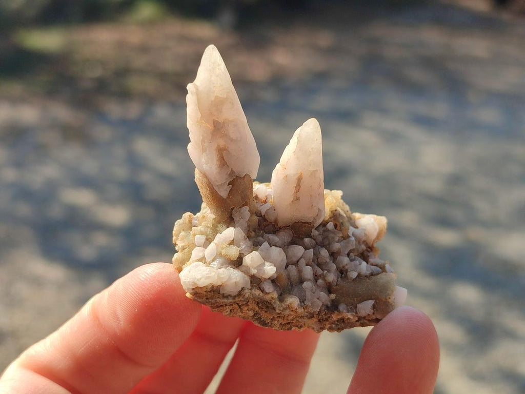 Natural Drusy Quartz Coated "Cock Spur" Calcite Crystals x 12 From Albert's Mountain, Lesotho