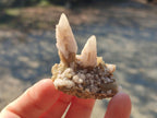 Natural Drusy Quartz Coated "Cock Spur" Calcite Crystals x 12 From Albert's Mountain, Lesotho