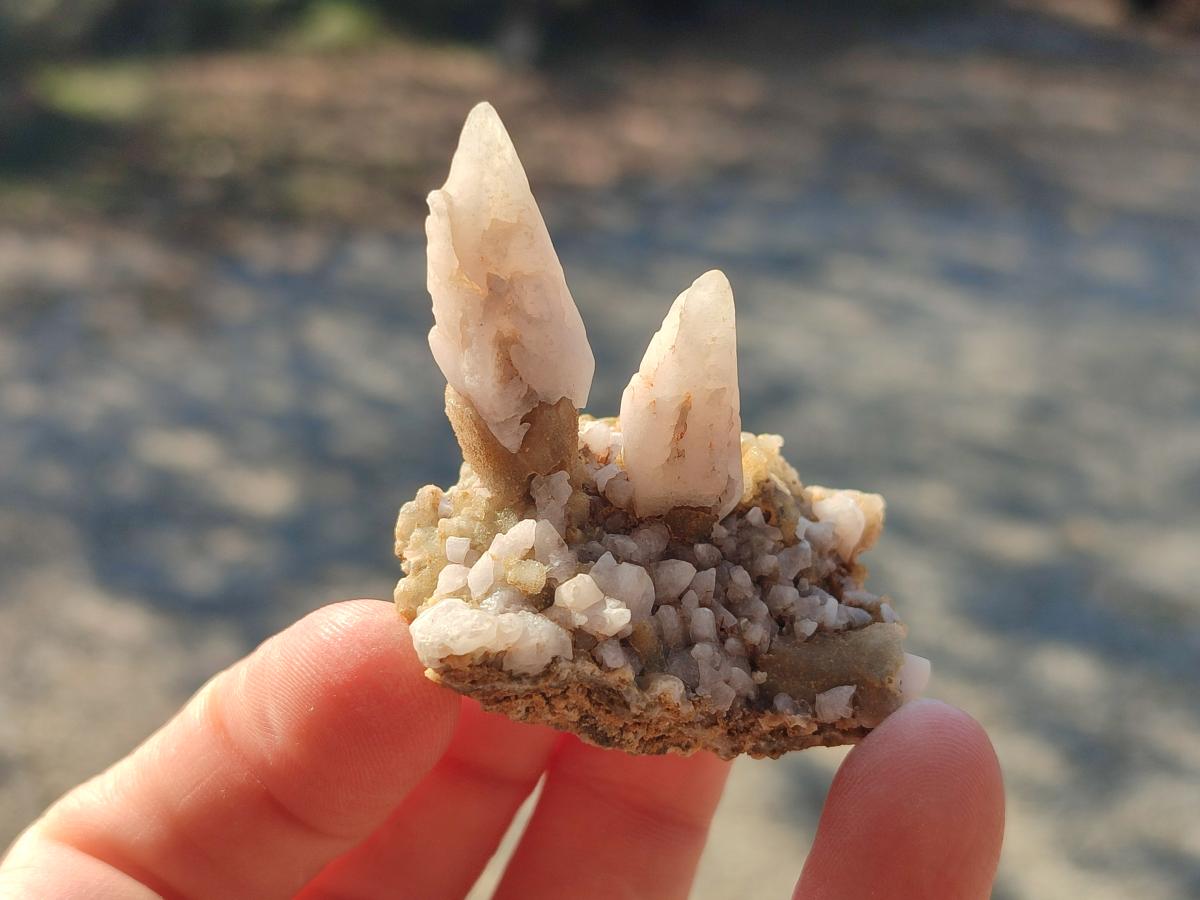 Natural Drusy Quartz Coated "Cock Spur" Calcite Crystals x 12 From Albert's Mountain, Lesotho