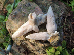 Natural Drusy Quartz Coated "Cock Spur" Calcite Crystals x 12 From Albert's Mountain, Lesotho