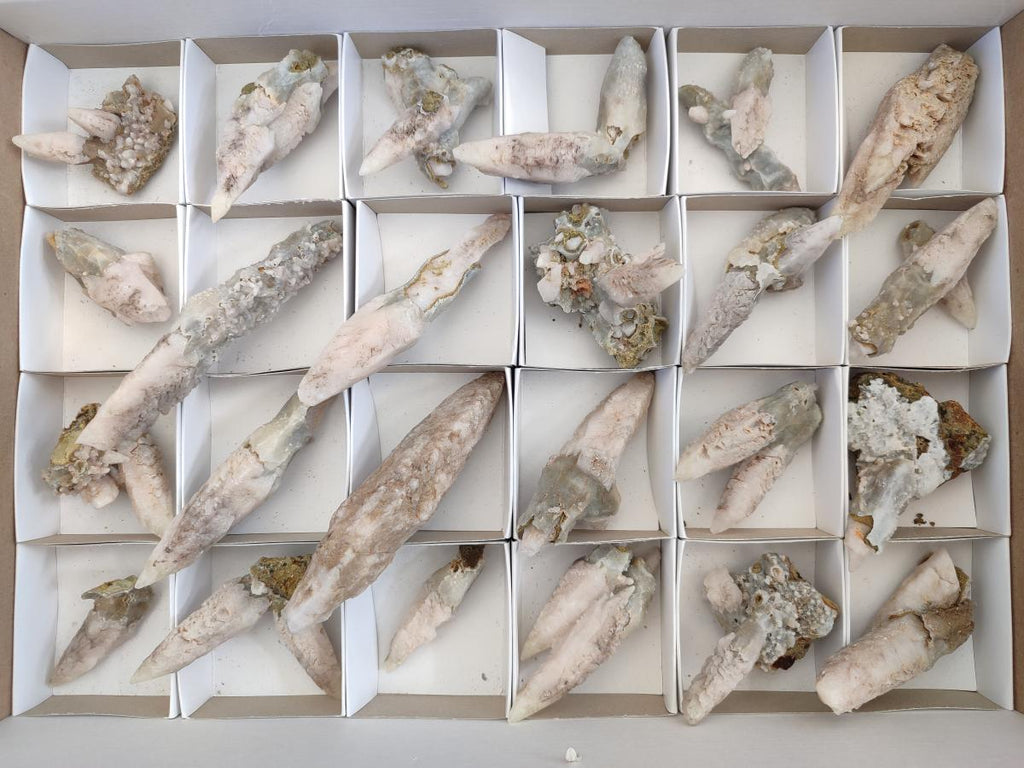 Natural Drusy Quartz Coated "Cock Spur" Calcite Crystals x 12 From Albert's Mountain, Lesotho