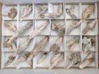 Natural Drusy Quartz Coated "Cock Spur" Calcite Crystals x 12 From Albert's Mountain, Lesotho