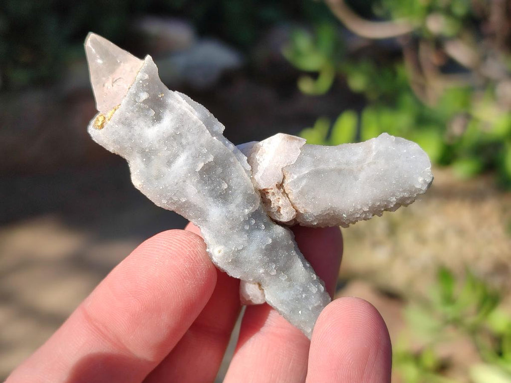 Natural Drusy Quartz Coated "Cock Spur" Calcite Crystals x 12 From Albert's Mountain, Lesotho