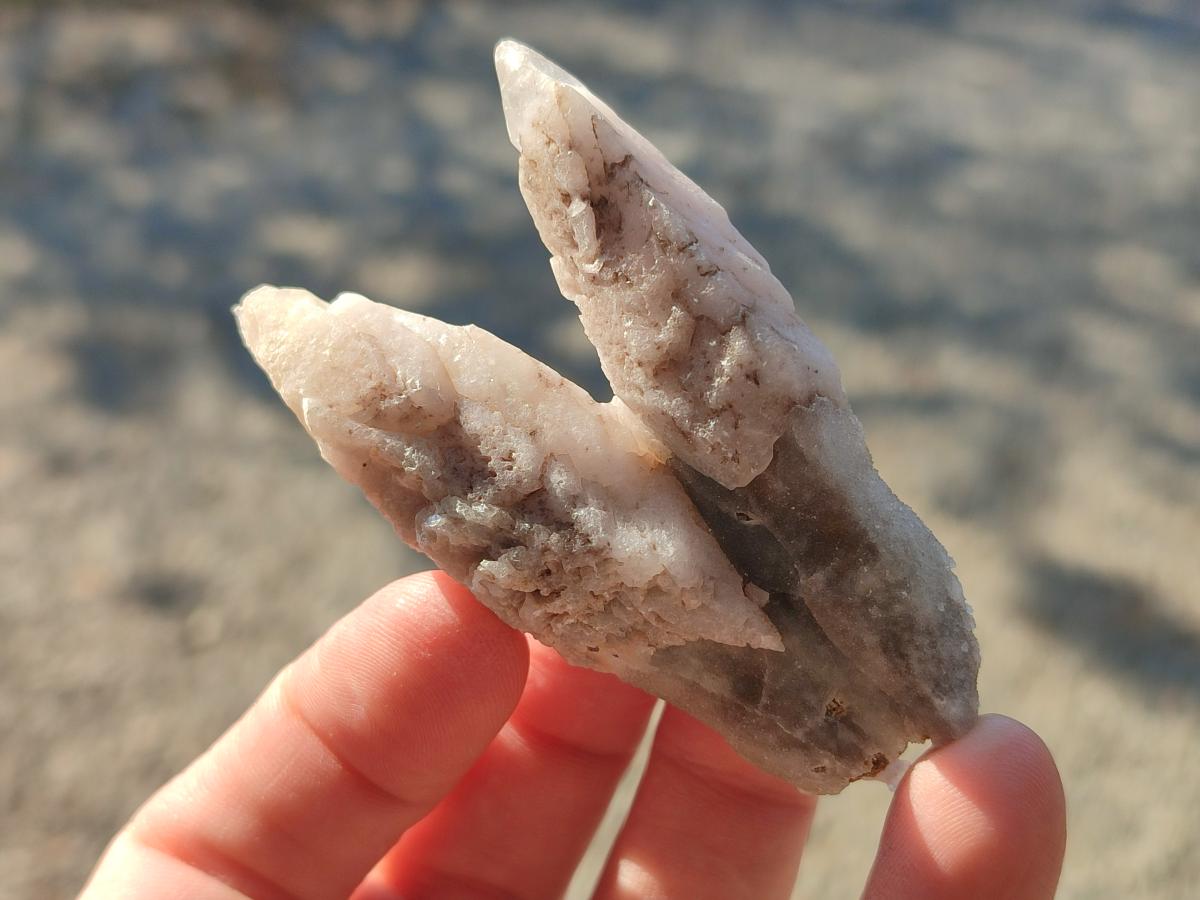 Natural Drusy Quartz Coated "Cock Spur" Calcite Crystals x 12 From Albert's Mountain, Lesotho