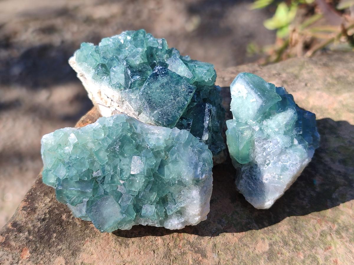 Natural Green Cubic Fluorite Specimens x 35 From Mandrosonoro, Madagascar