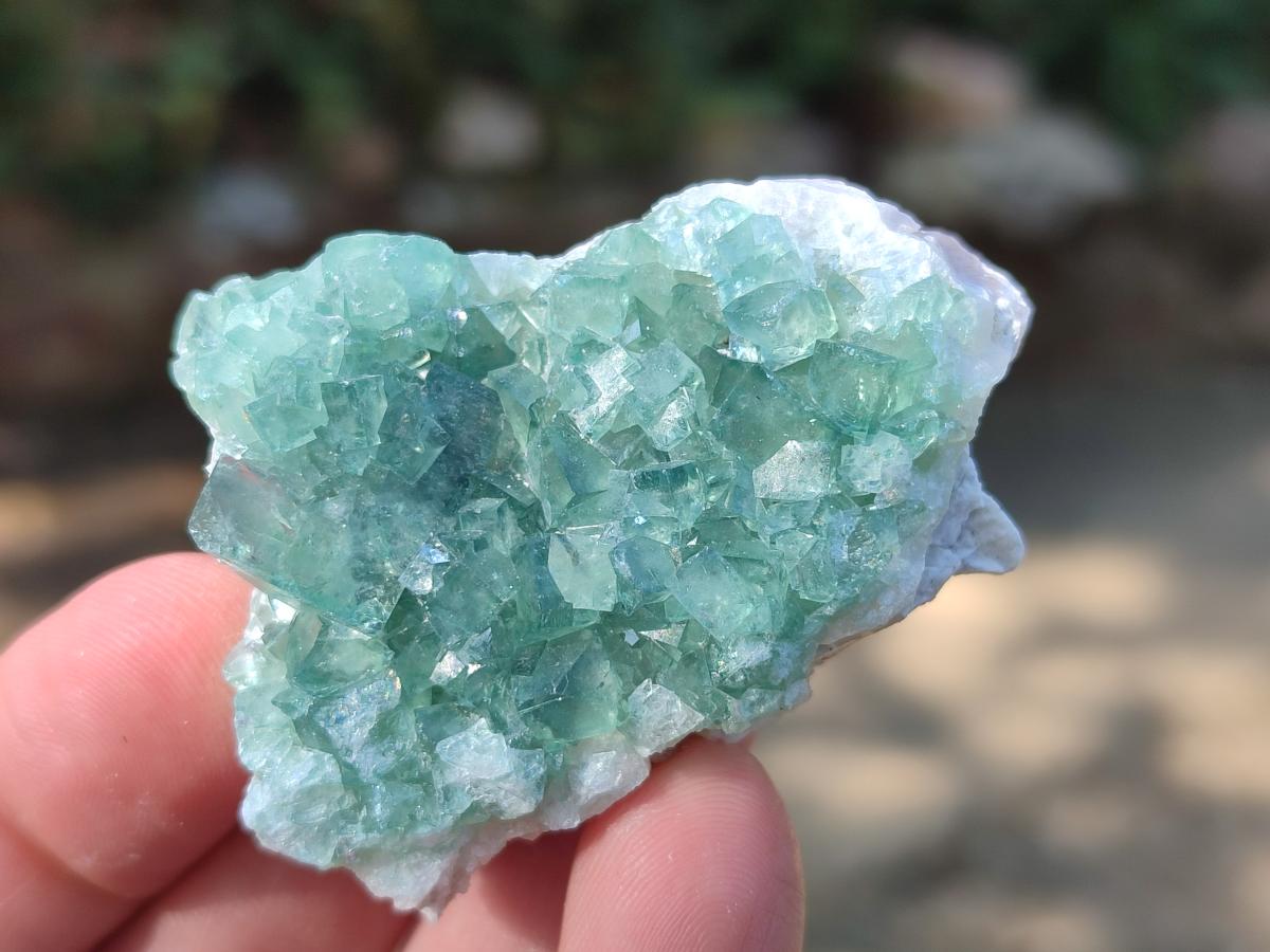 Natural Green Cubic Fluorite Specimens x 35 From Mandrosonoro, Madagascar