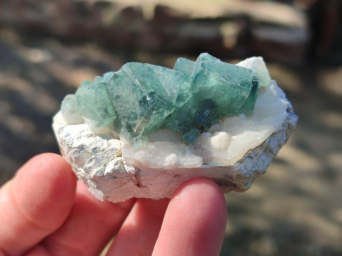 Natural Green Cubic Fluorite Specimens x 35 From Mandrosonoro, Madagascar