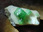 Natural Green Cubic Fluorite Specimens x 35 From Mandrosonoro, Madagascar