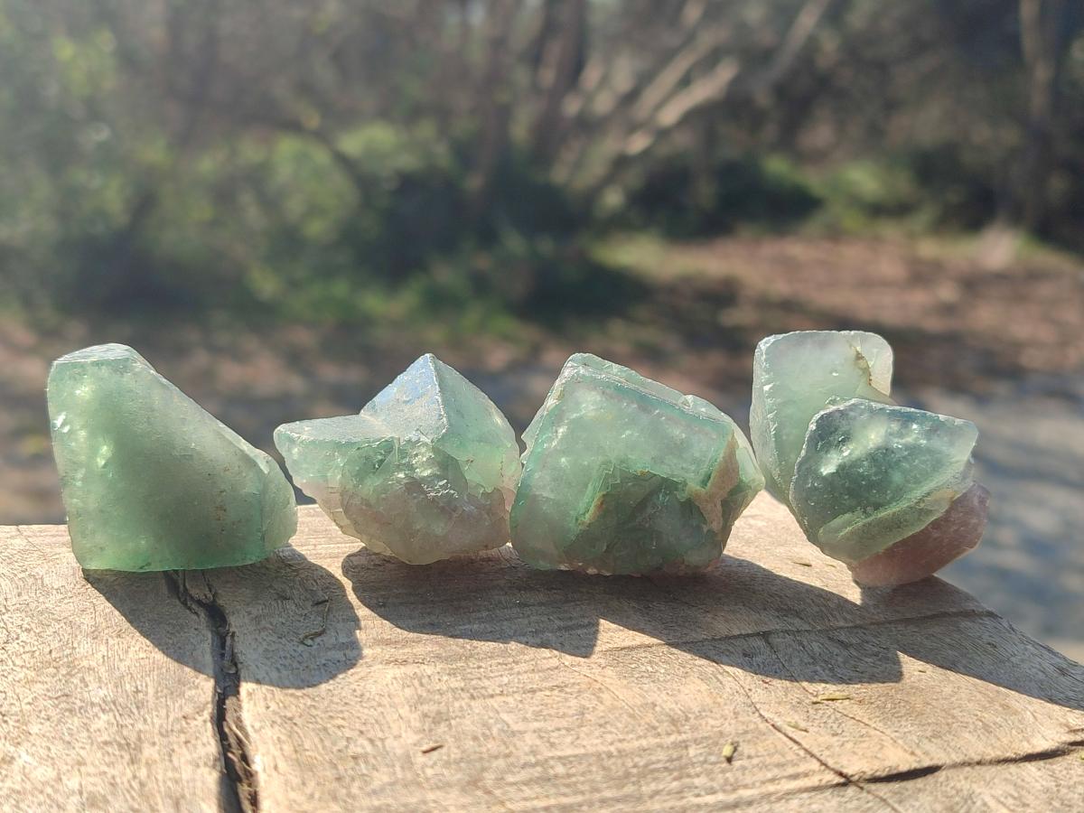 Natural Green Cubic Fluorite Specimens x 35 From Mandrosonoro, Madagascar