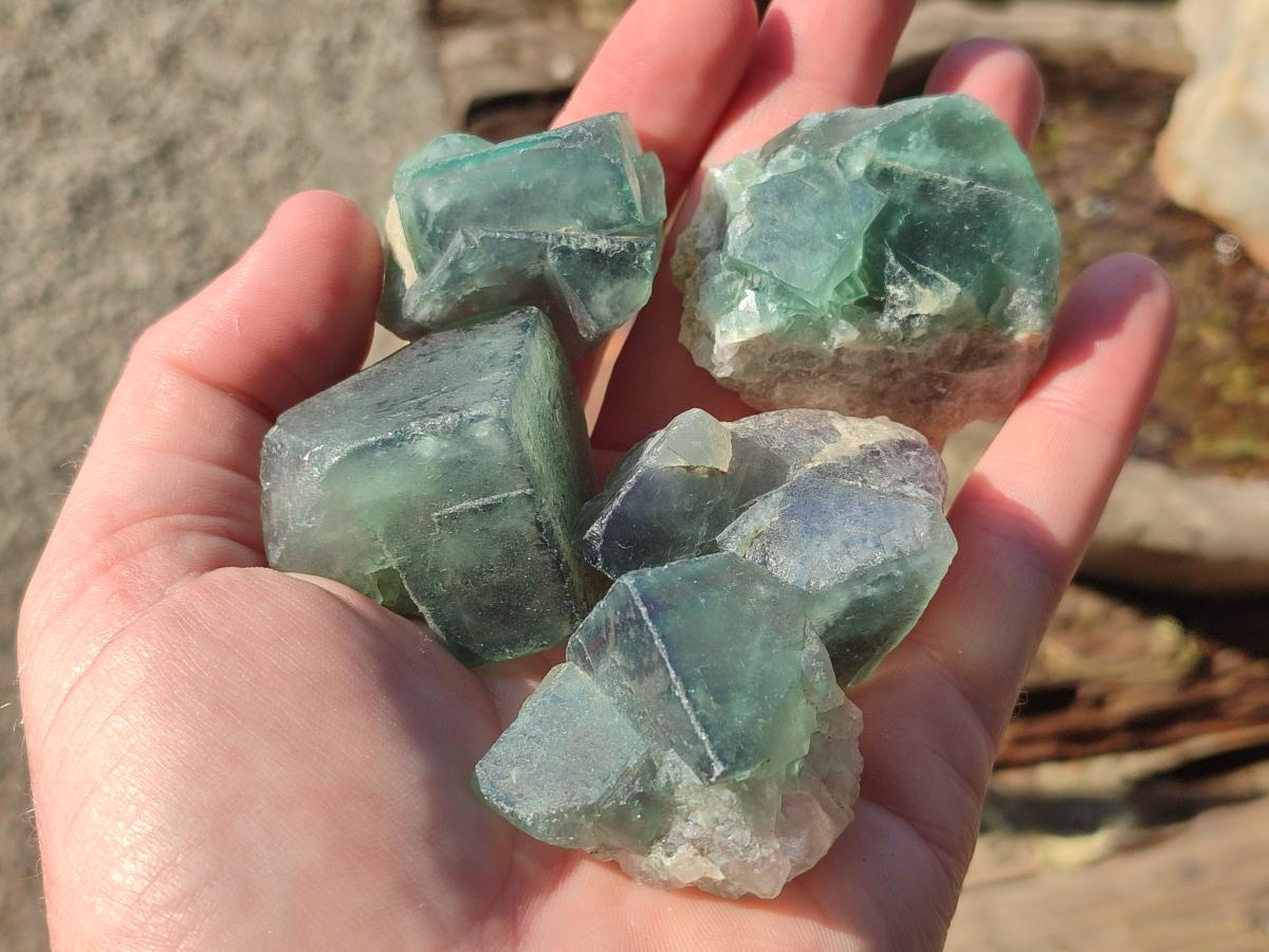 Natural Green Cubic Fluorite Specimens x 35 From Mandrosonoro, Madagascar