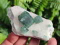 Natural Green Cubic Fluorite Specimens x 35 From Mandrosonoro, Madagascar