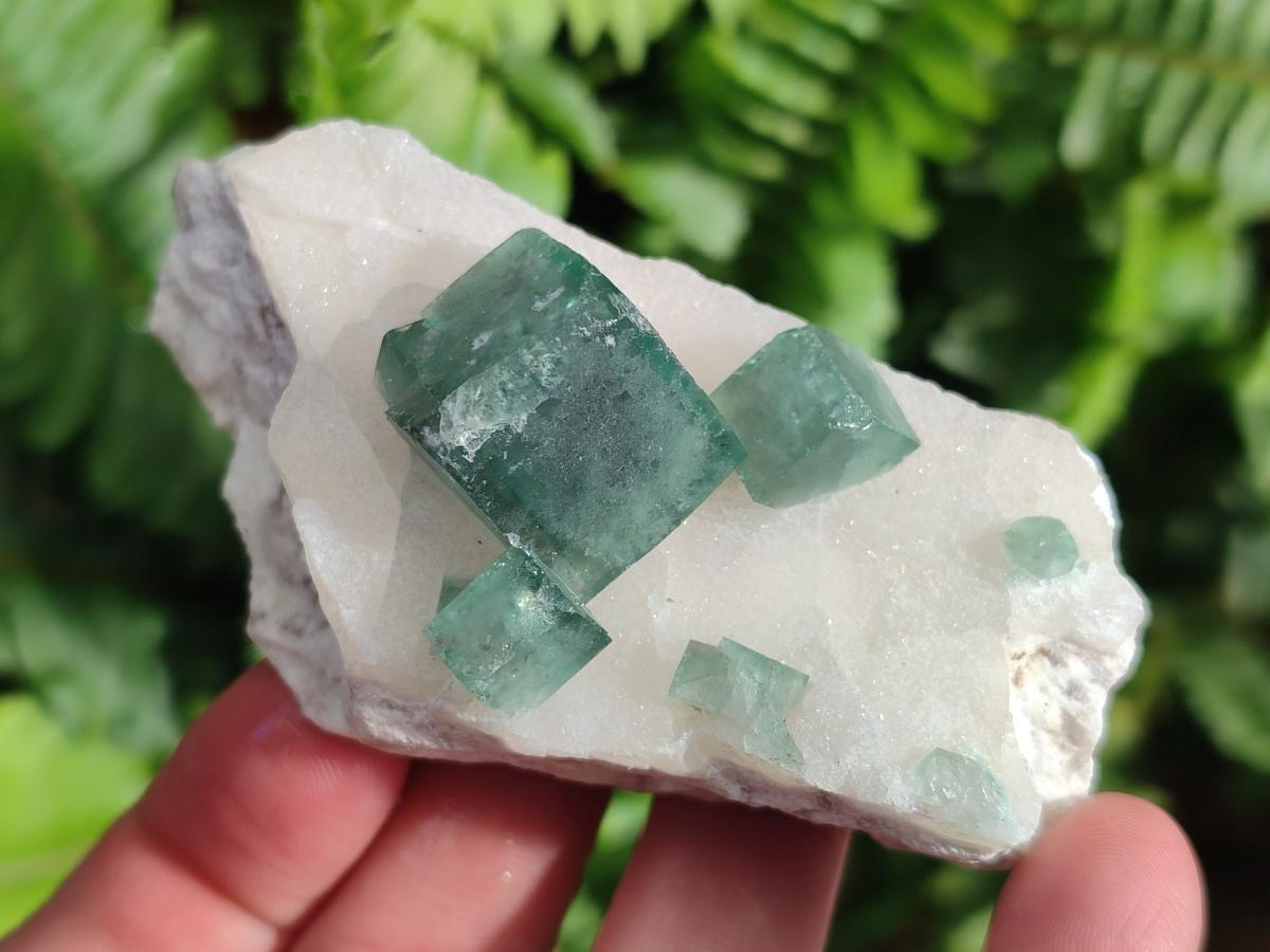Natural Green Cubic Fluorite Specimens x 35 From Mandrosonoro, Madagascar
