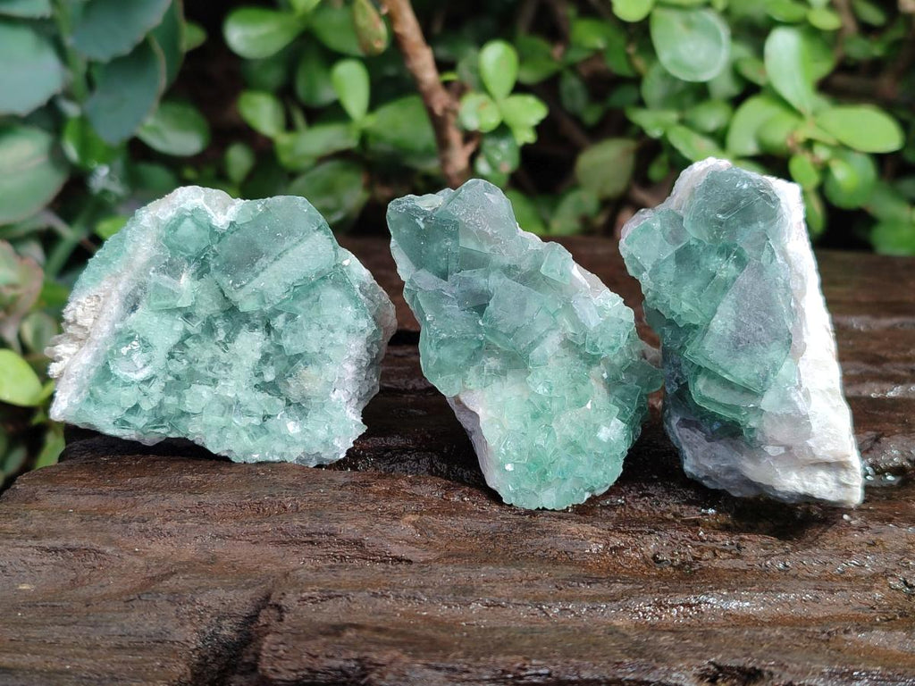 Natural Green Cubic Fluorite Specimens x 35 From Mandrosonoro, Madagascar