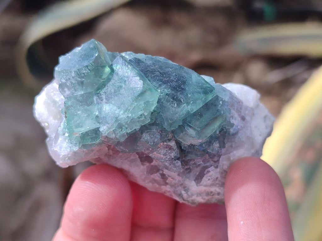 Natural Green Cubic Fluorite Specimens x 35 From Mandrosonoro, Madagascar