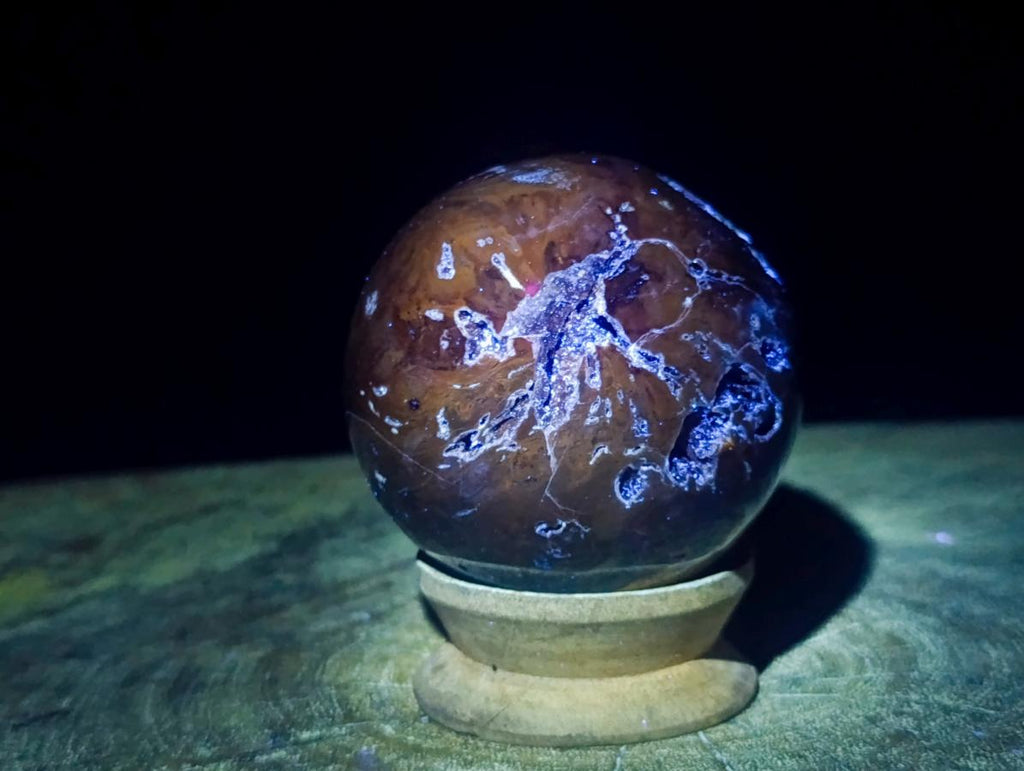 Polished Dadoxylon Petrified Wood Spheres x 3 From Gokwe, Zimbabwe