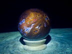 Polished Dadoxylon Petrified Wood Spheres x 3 From Gokwe, Zimbabwe