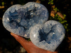 Polished and Natural Large Blue Celestite Hearts x 2 From Sakoany, Madagascar