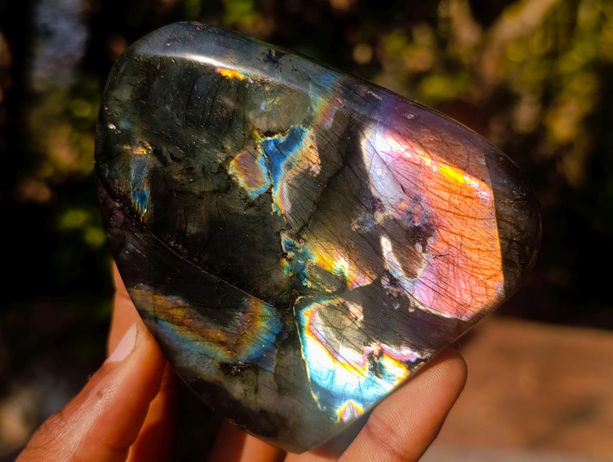 Polished Labradorite Standing Display Pieces x 6 From Madagascar