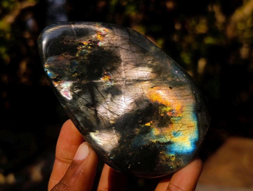 Polished Labradorite Standing Display Pieces x 6 From Madagascar