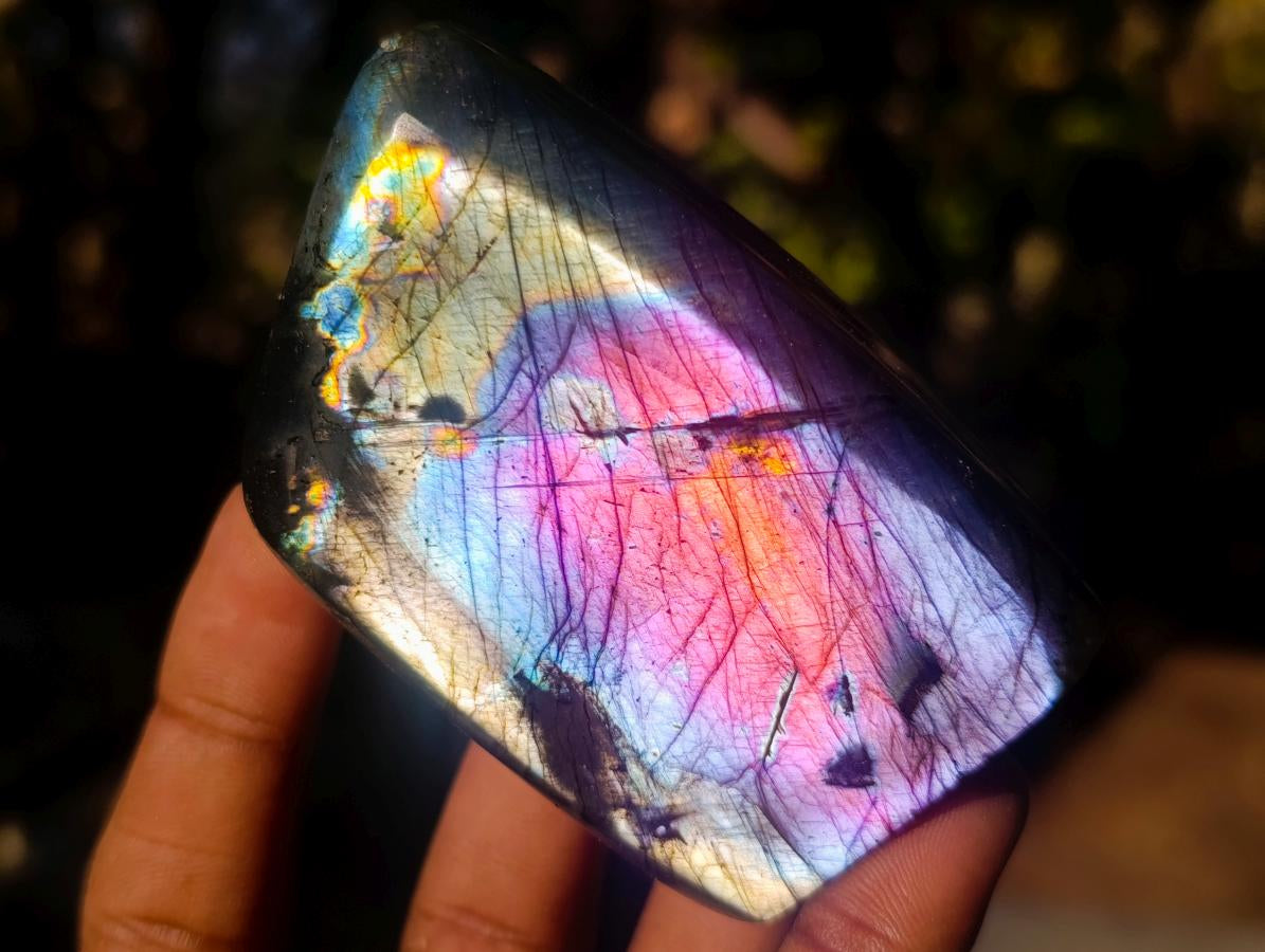 Polished Labradorite Standing Display Pieces x 6 From Madagascar