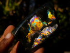 Polished Labradorite Standing Display Pieces x 6 From Madagascar
