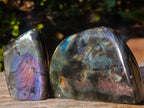Polished Labradorite Standing Display Pieces x 6 From Madagascar