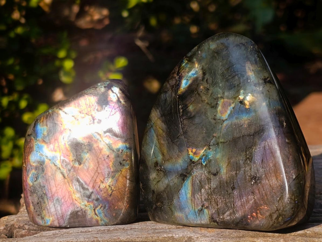 Polished Labradorite Standing Display Pieces x 6 From Madagascar