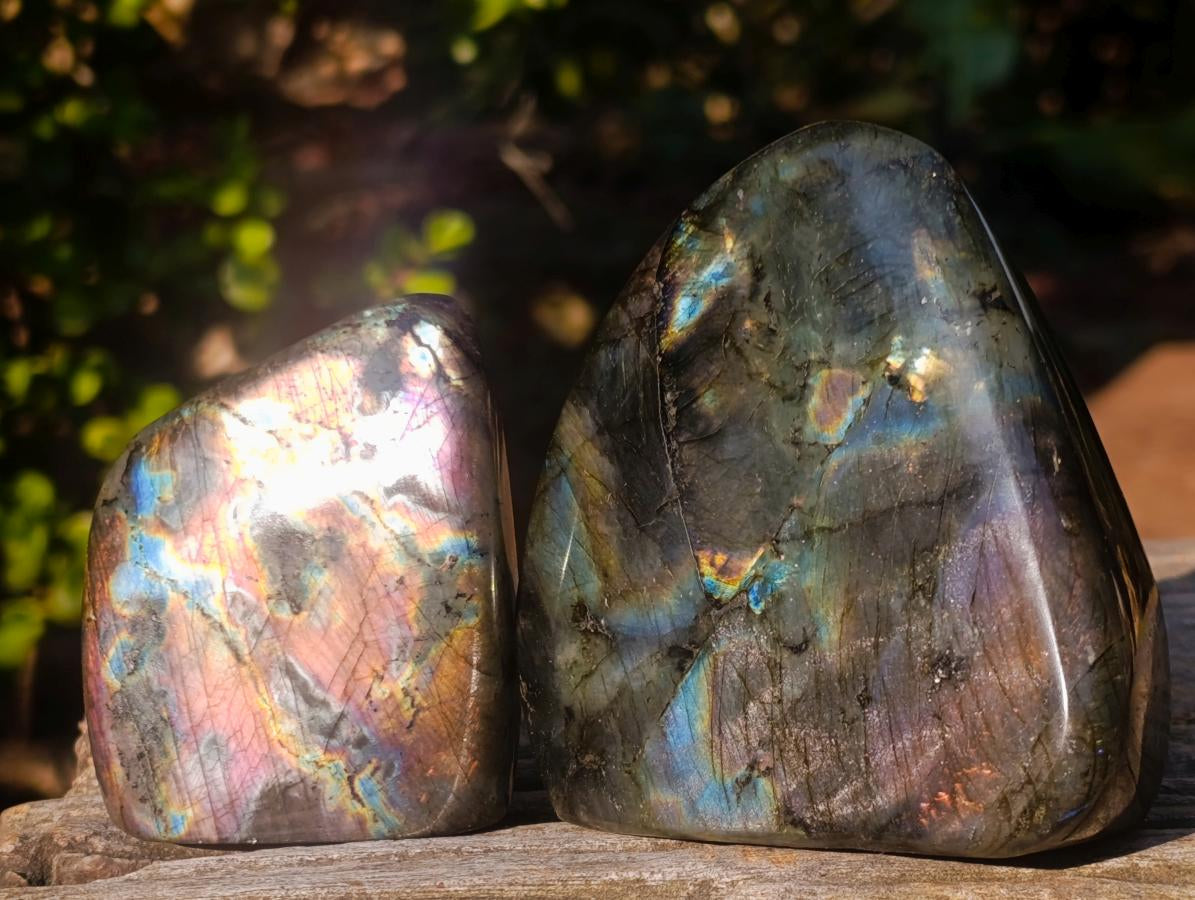 Polished Labradorite Standing Display Pieces x 6 From Madagascar