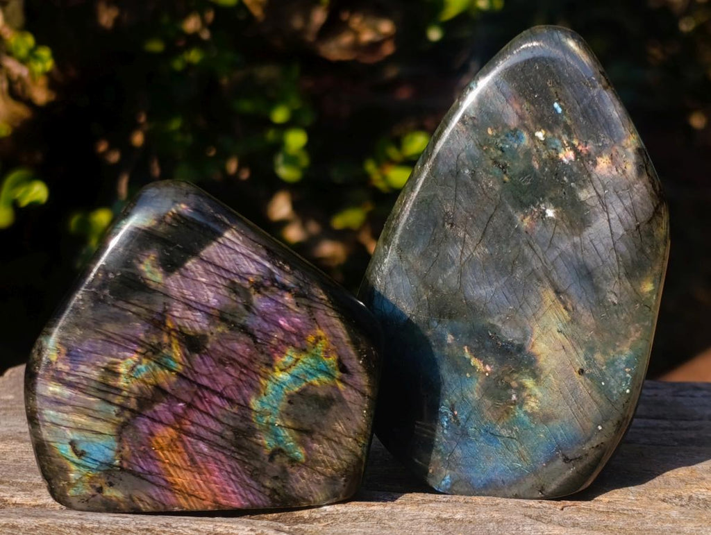 Polished Labradorite Standing Display Pieces x 6 From Madagascar
