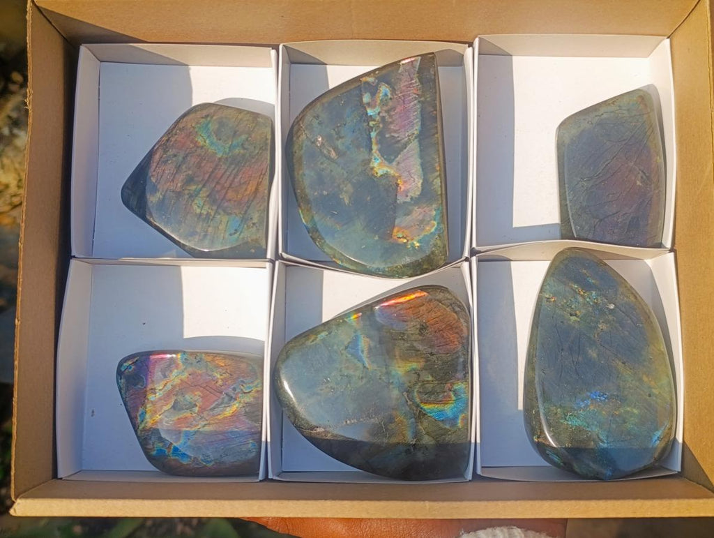 Polished Labradorite Standing Display Pieces x 6 From Madagascar