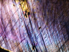 Polished Labradorite Standing Display Pieces x 6 From Madagascar