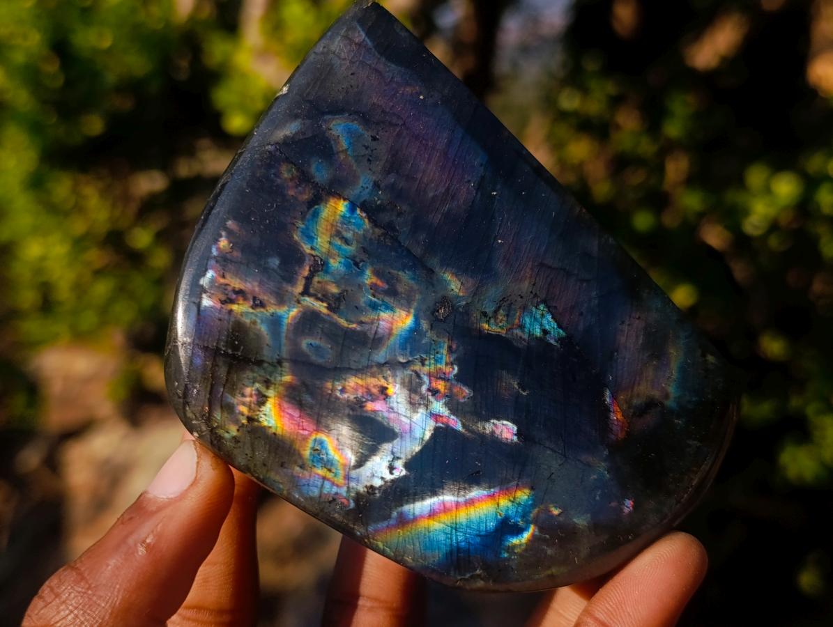 Polished Labradorite Standing Display Pieces x 6 From Madagascar