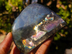 Polished Labradorite Standing Display Pieces x 6 From Madagascar