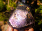 Polished Labradorite Standing Display Pieces x 6 From Madagascar