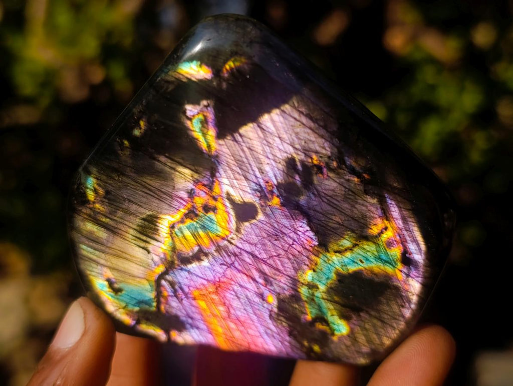 Polished Labradorite Standing Display Pieces x 6 From Madagascar