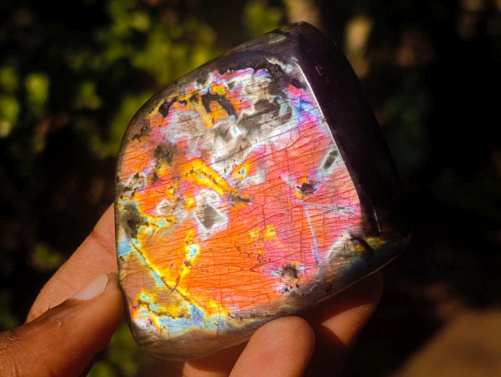 Polished Labradorite Standing Display Pieces x 6 From Madagascar