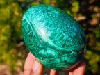 Polished Flower Banded Malachite Gemstone Eggs x 2 From Congo