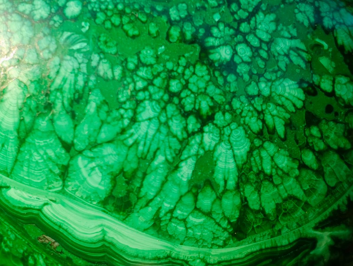Polished Flower Banded Malachite Gemstone Eggs x 2 From Congo