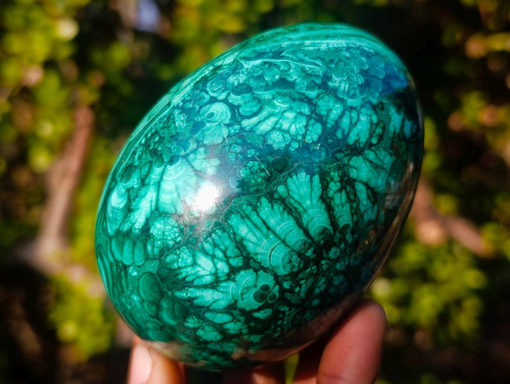 Polished Flower Banded Malachite Gemstone Eggs x 2 From Congo