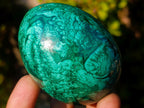 Polished Flower Banded Malachite Gemstone Eggs x 2 From Congo