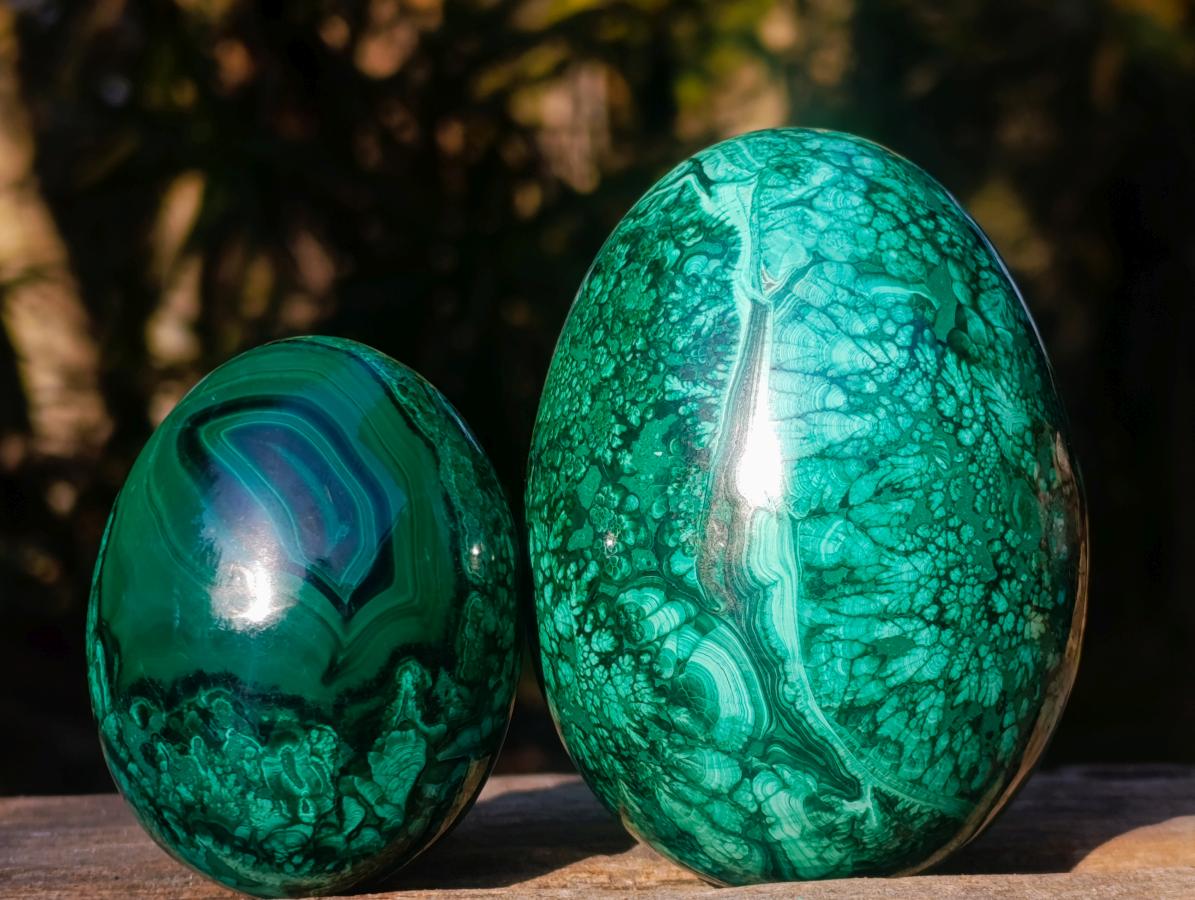 Polished Flower Banded Malachite Gemstone Eggs x 2 From Congo