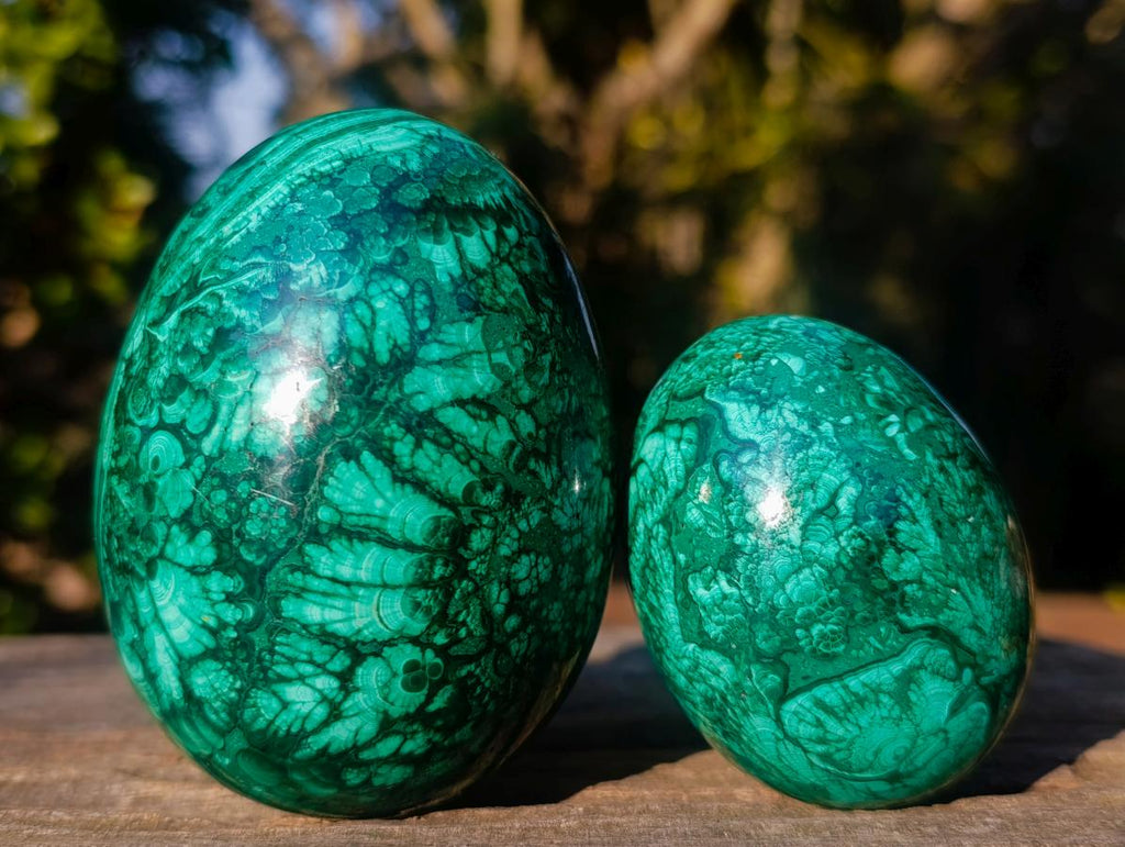 Polished Flower Banded Malachite Gemstone Eggs x 2 From Congo