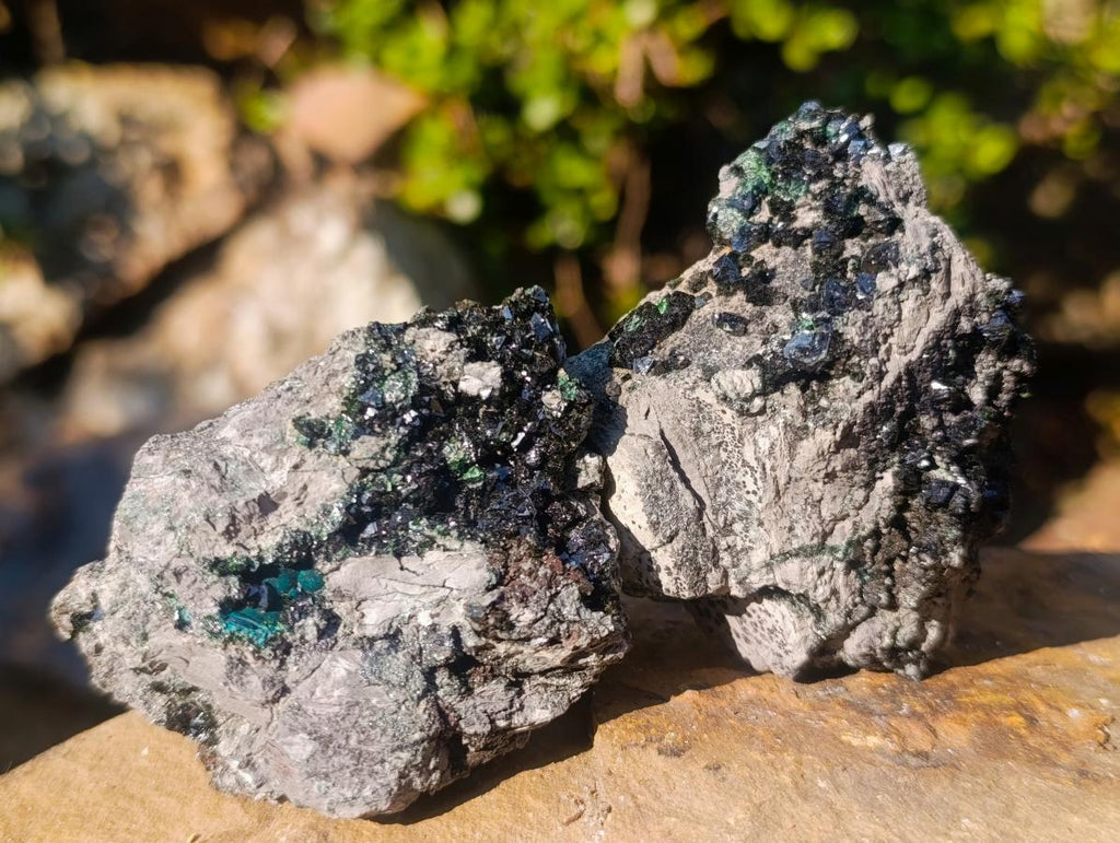 Natural Crystalline Libethenite Specimens on Dolomite Matrix x 12 From Shituru, Congo