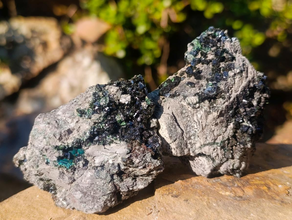 Natural Crystalline Libethenite Specimens on Dolomite Matrix x 12 From Shituru, Congo