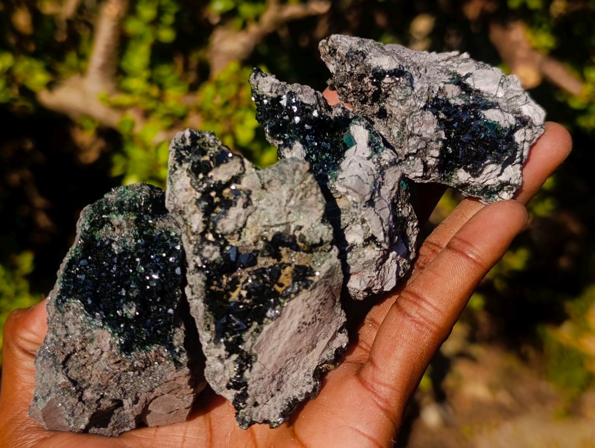 Natural Crystalline Libethenite Specimens on Dolomite Matrix x 12 From Shituru, Congo
