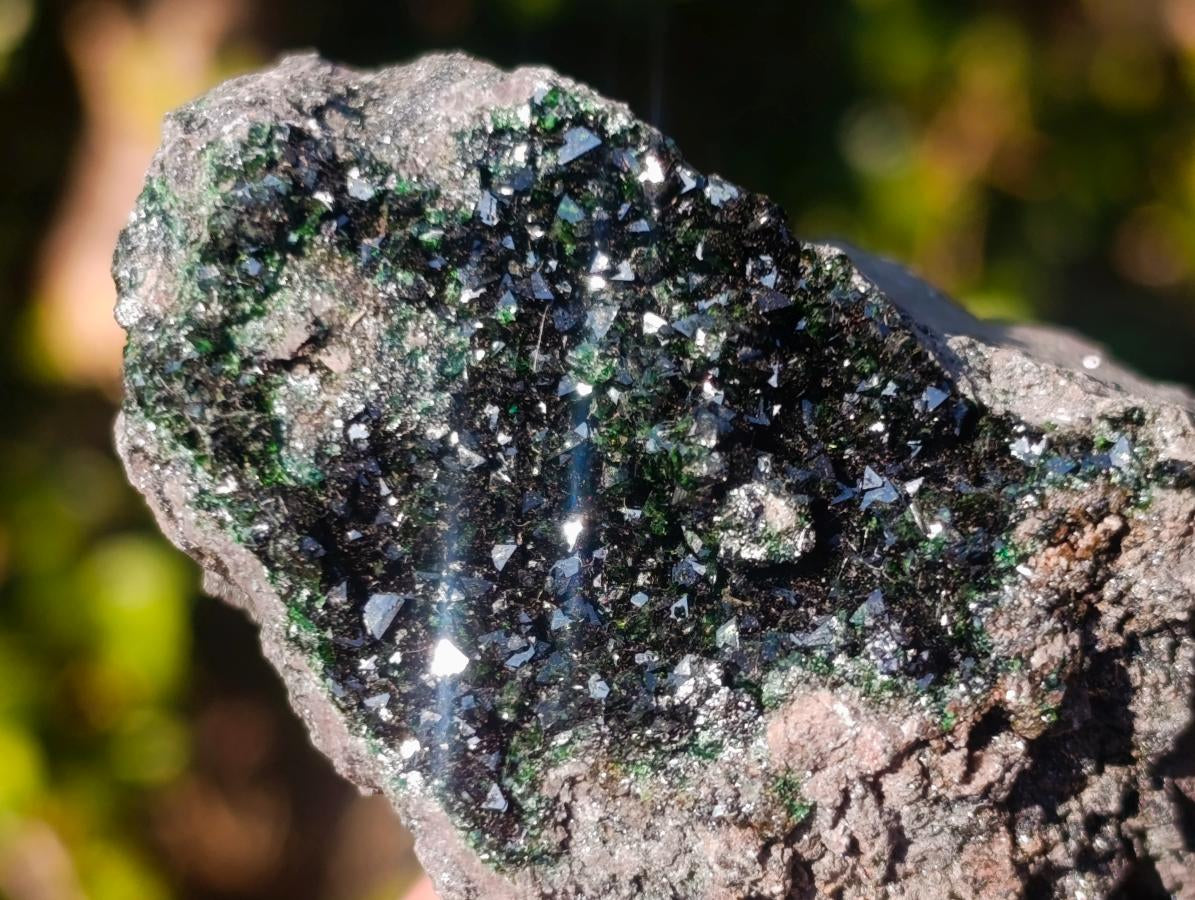 Natural Crystalline Libethenite Specimens on Dolomite Matrix x 12 From Shituru, Congo
