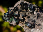 Natural Crystalline Libethenite Specimens on Dolomite Matrix x 12 From Shituru, Congo