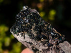 Natural Crystalline Libethenite Specimens on Dolomite Matrix x 12 From Shituru, Congo